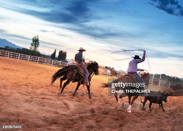 Original Team Roping Team Roping Photos and Premium High Res Pictures - Getty Images