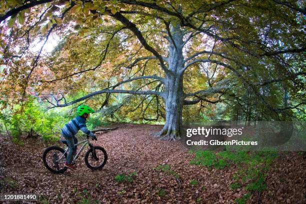 mountain bike boy - nelson british columbia stock pictures, royalty-free photos & images