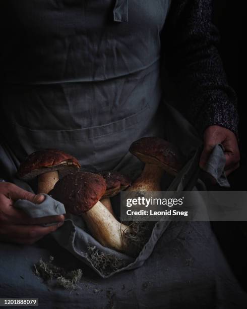 beautiful harvest of forest mushrooms in the hands of a man in a gray apron close-up - chef apron stock pictures, royalty-free photos & images