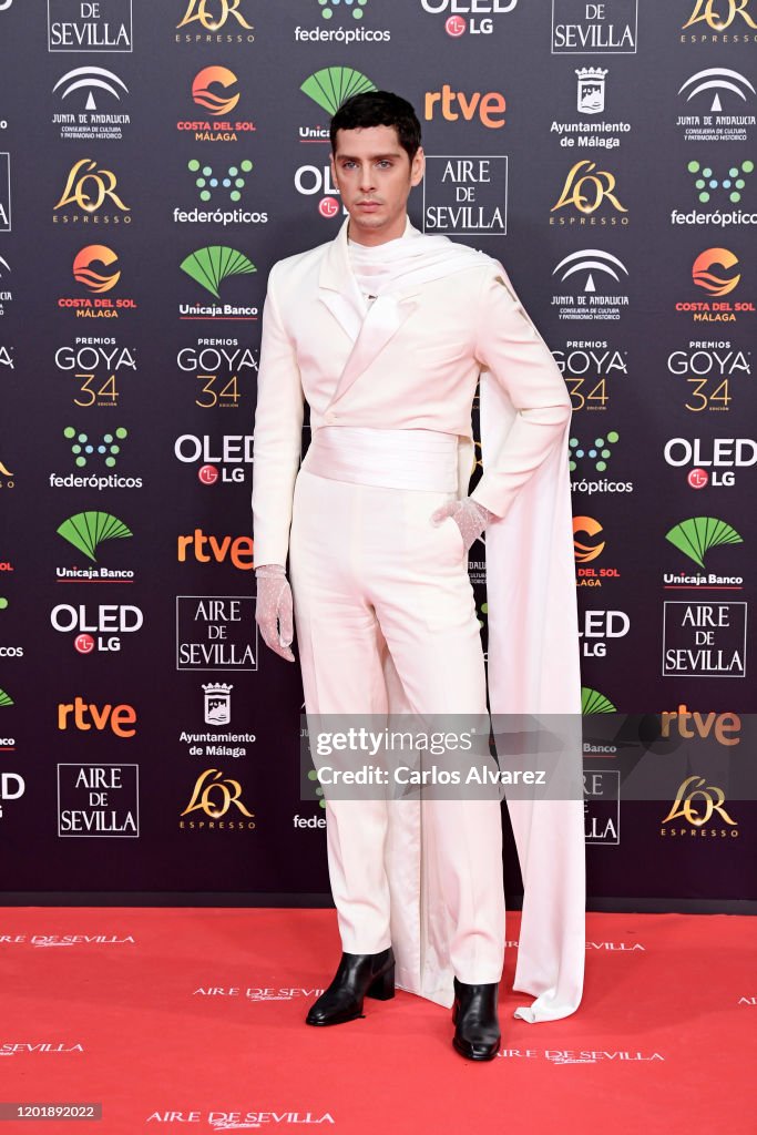 Goya Cinema Awards 2020 - Red Carpet