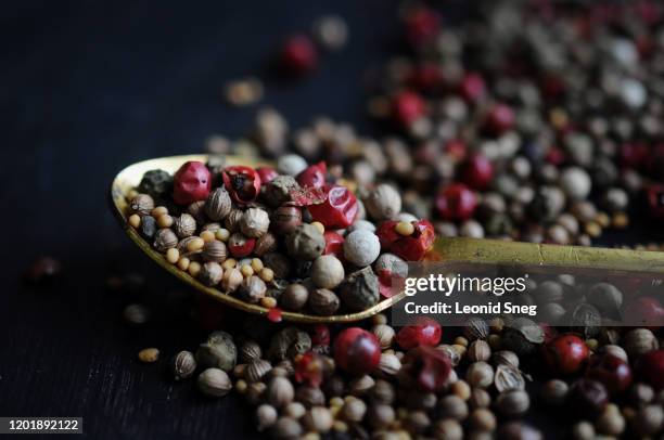 multi-colored types of peppers in a golden spoon close-up macro on a dark background - food photography dark background blue stock-fotos und bilder