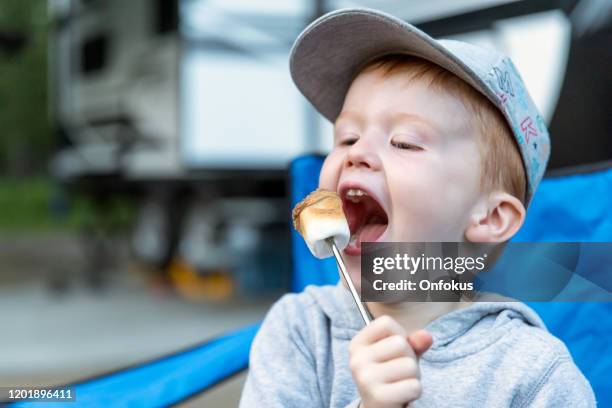 little redhead boy eating a marshmallow in camping in summer - open fire stock pictures, royalty-free photos & images