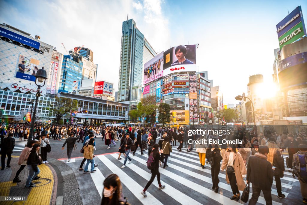 Ver Shibuya Crossing al atardecer Tokio 2020 Japón