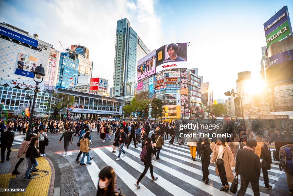 View Shibuya Crossing at sunset Tokyo 2020 Japan