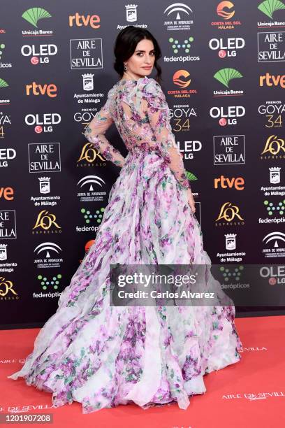 Penelope Cruz attends the Goya Cinema Awards 2020 during the 34th edition of the Goya Cinema Awards at Jose Maria Martin Carpena Sports Palace on...