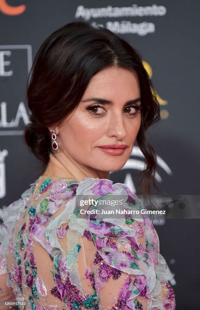 Goya Cinema Awards 2020 - Red Carpet