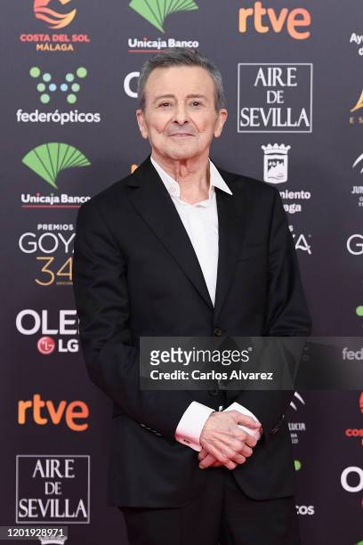 Juan Diego attends the Goya Cinema Awards 2020 during the 34th edition of the Goya Cinema Awards at Jose Maria Martin Carpena Sports Palace on...