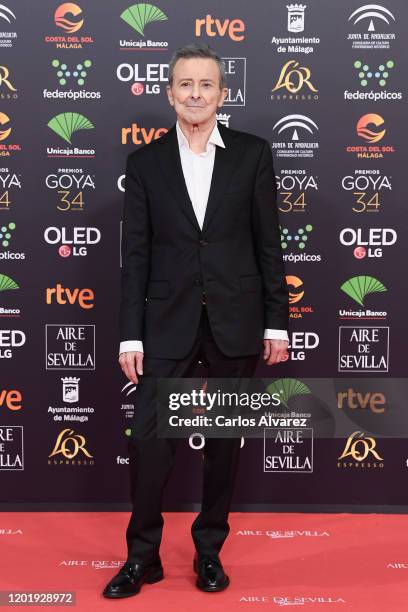 Juan Diego attends the Goya Cinema Awards 2020 during the 34th edition of the Goya Cinema Awards at Jose Maria Martin Carpena Sports Palace on...