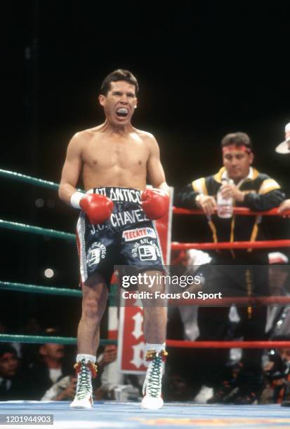 Julio Cesar Chavez looks on from his corner while fighting Greg Haugen for the WBC and Lineal Light Welterweight titles on February 20, 1993 at the...