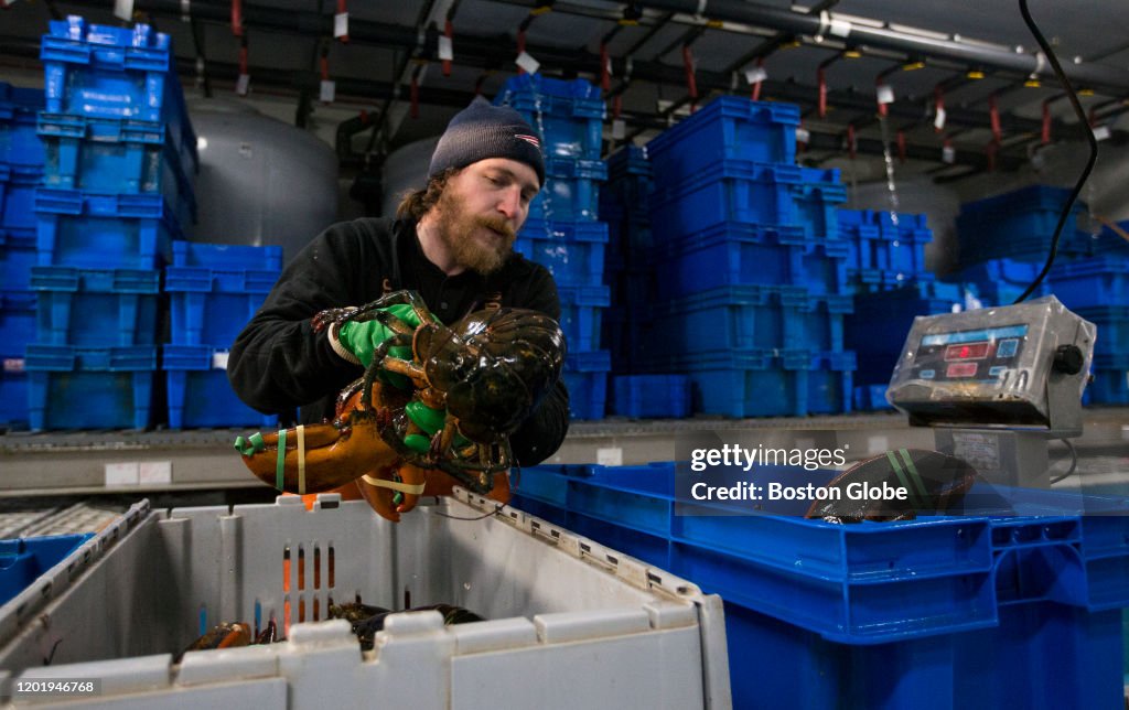 The Last of the Seafaring Life, at the Boston Fish Pier
