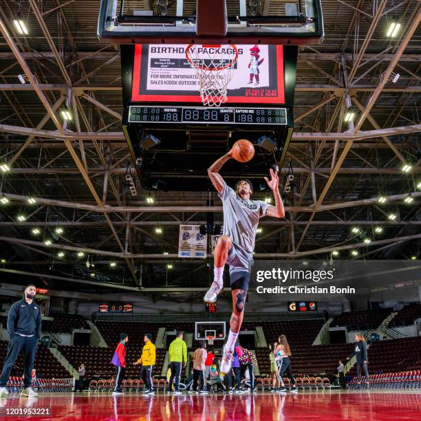 Sauga Raptors Sauga Photos and Premium High Res Pictures - Getty Images