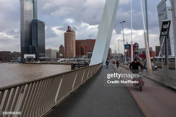 Erasmusbrug in Rotterdam, Netherlands, on February 11, 2020. Erasmus Bridge is a 800-metre long bridge which spans the Maas River and links the...