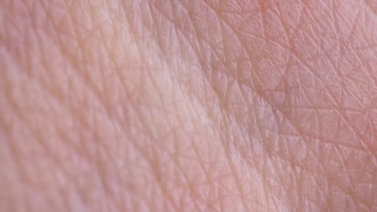 Skin Cell Pattern Skin Cell Pattern Videos and HD Footage - Getty Images