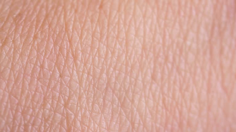Skin Cell Pattern Skin Cell Pattern Videos and HD Footage - Getty Images
