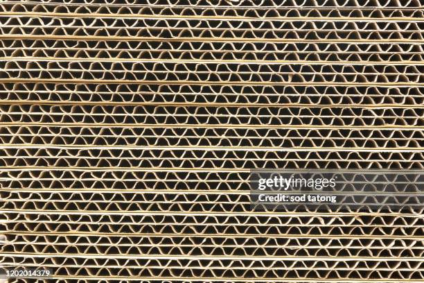 cross section of cardboard corrugated pattern as baskground and texture vertical - paper board stock-fotos und bilder