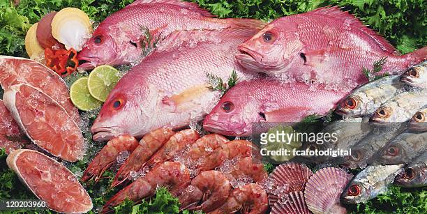 fresh fish - fish market stock pictures, royalty-free photos & images