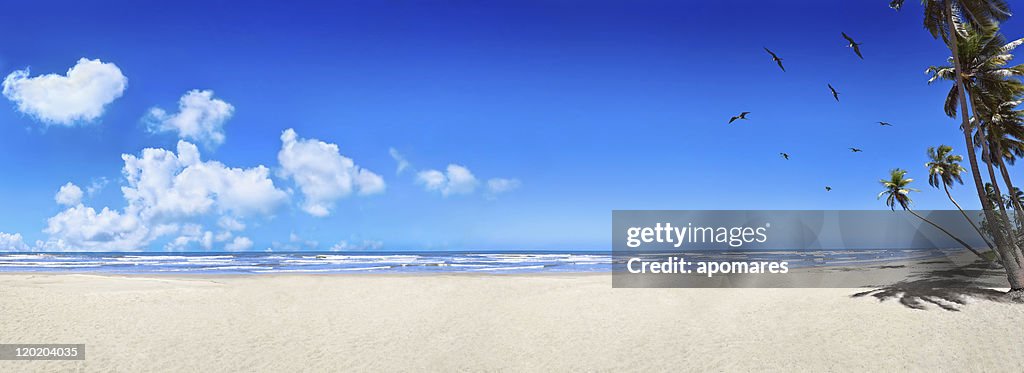 Tropical white sand virgin beach