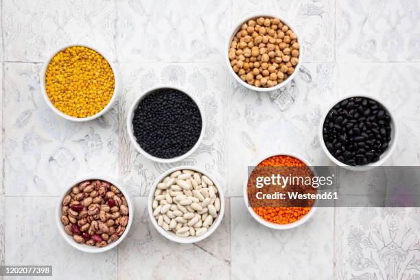 various legumes in bowls: chickpeas, cannellini beans, quail beans, black beans, yellow lentils, red lentils, black lentils - lentil stock-fotos und bilder