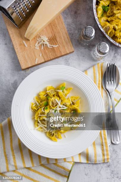 plate of italian tortellini with grana cheese - tortellini bildbanksfoton och bilder