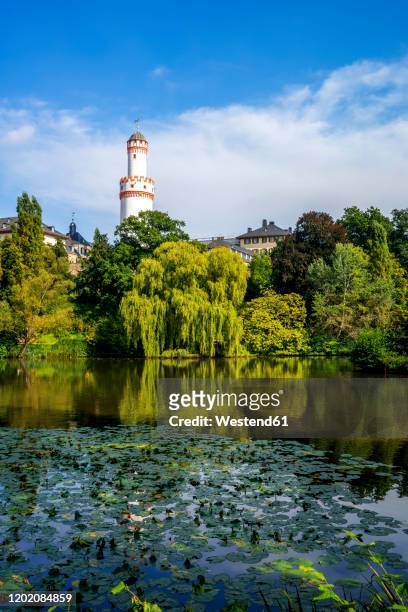 germany, hesse, bad homburg vor der hohe, white tower rising above trees surrounding green lake - bad homburg stock-fotos und bilder