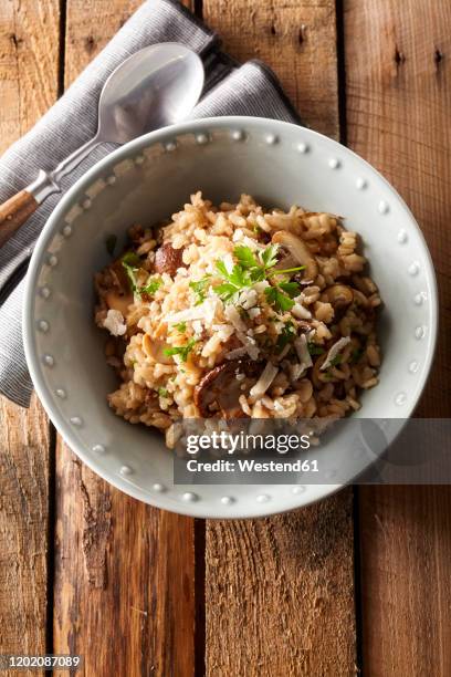 overhead view of bowl of risotto with mushrooms - risotto stock-fotos und bilder