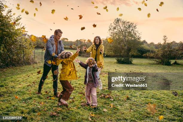 happy family playing with autumn leaves on a meadow - autumn family stock pictures, royalty-free photos & images