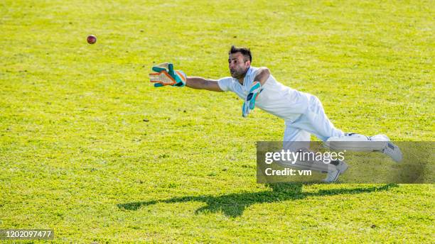 ボールをキャッチしようとしている中東のクリケット選手 - cricket catch ストックフォトと画像