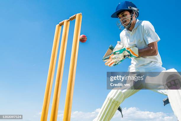 wicket-keeper trying to catch the ball - cricket catch stock pictures, royalty-free photos & images