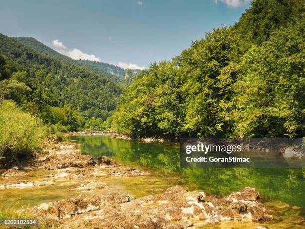 Risnjak mountain forest hi-res stock photography and images - Alamy