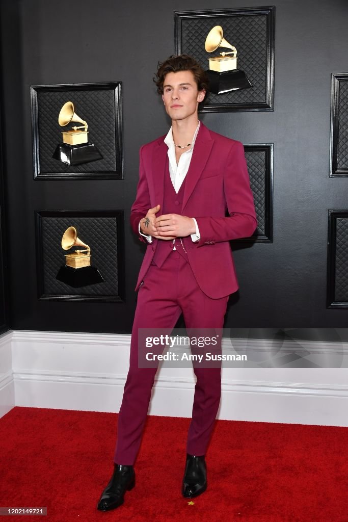 62nd Annual GRAMMY Awards - Arrivals