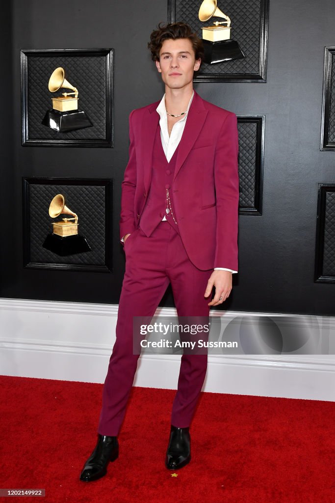 62nd Annual GRAMMY Awards - Arrivals