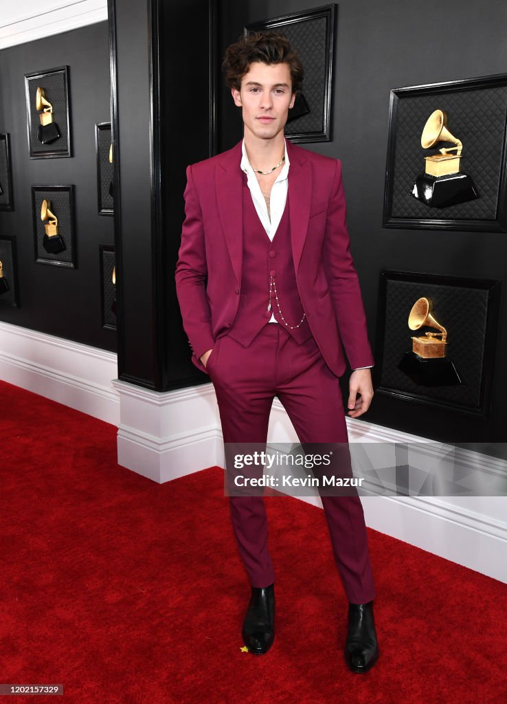 62nd Annual GRAMMY Awards – Red Carpet