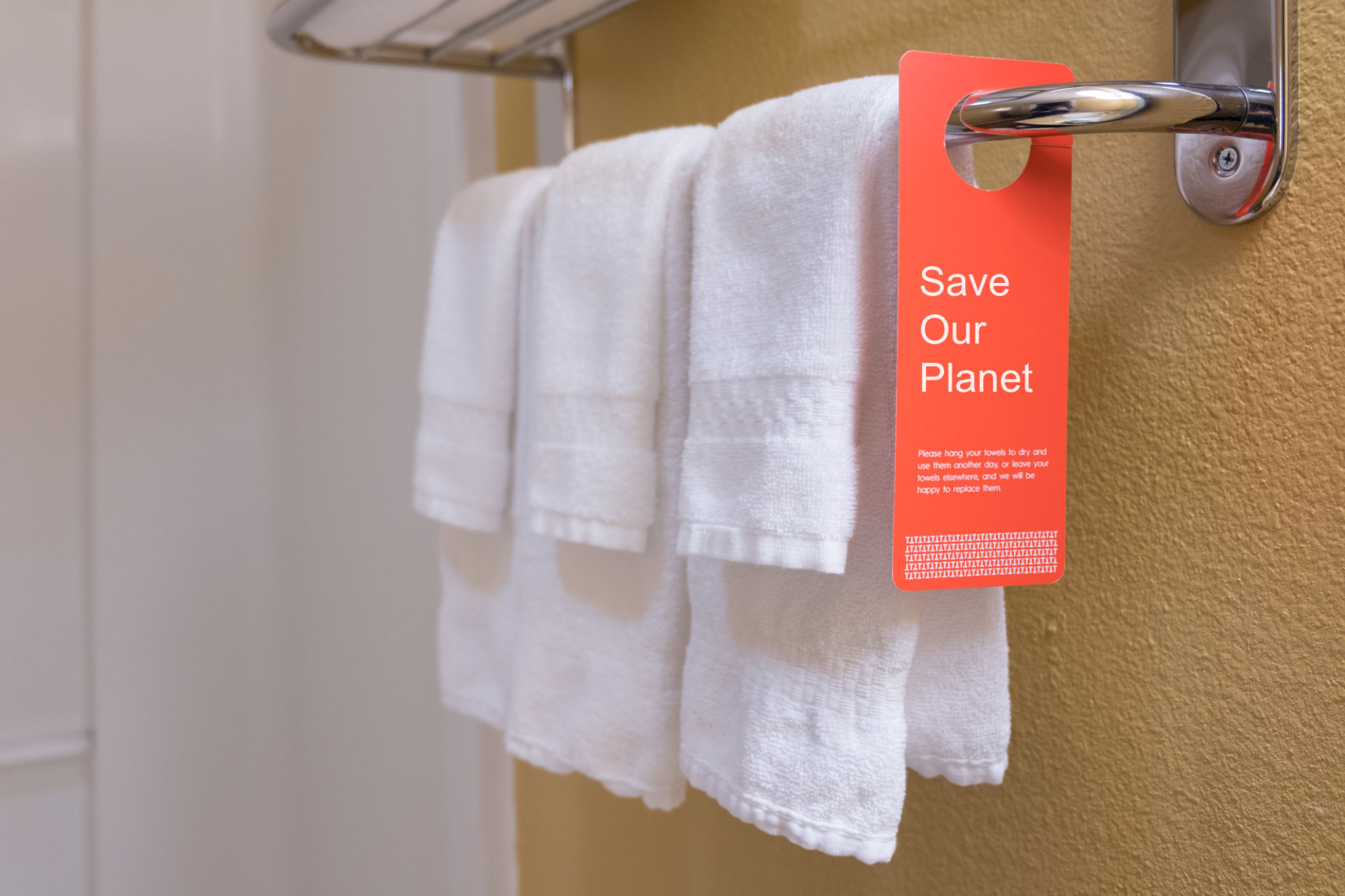 eco-friendly hotel