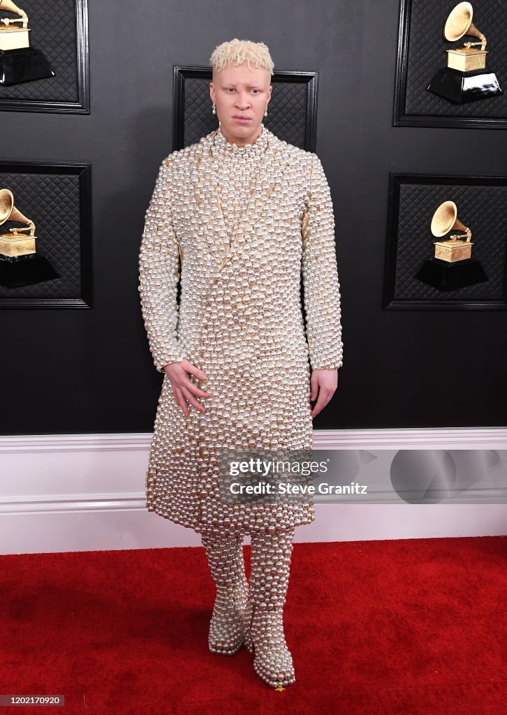 62nd Annual GRAMMY Awards - Arrivals