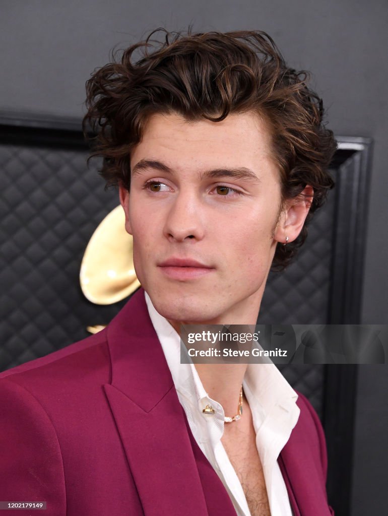 62nd Annual GRAMMY Awards - Arrivals