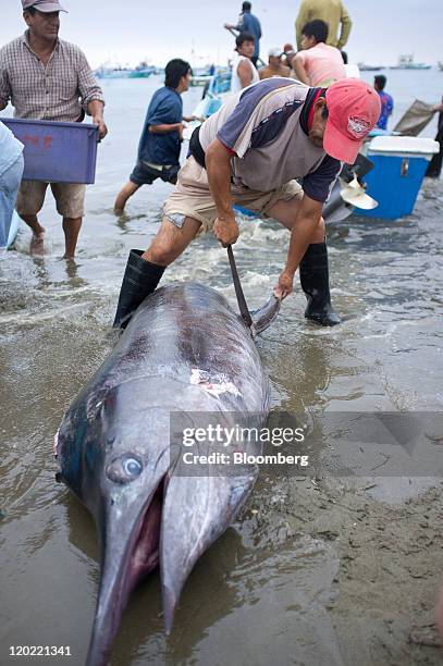 Marlin Operating 145 Operation Marlin Stock Photos, High-Res Pictures, and Images ...