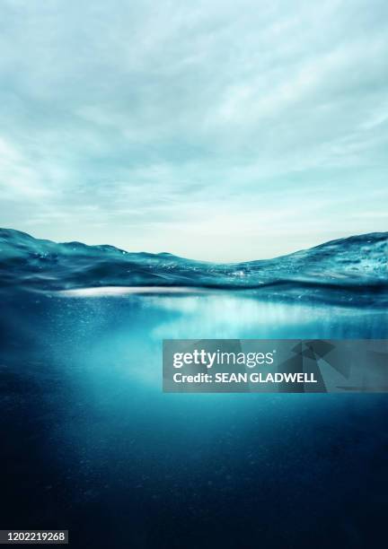 underwater and above water - debajo de fotografías e imágenes de stock