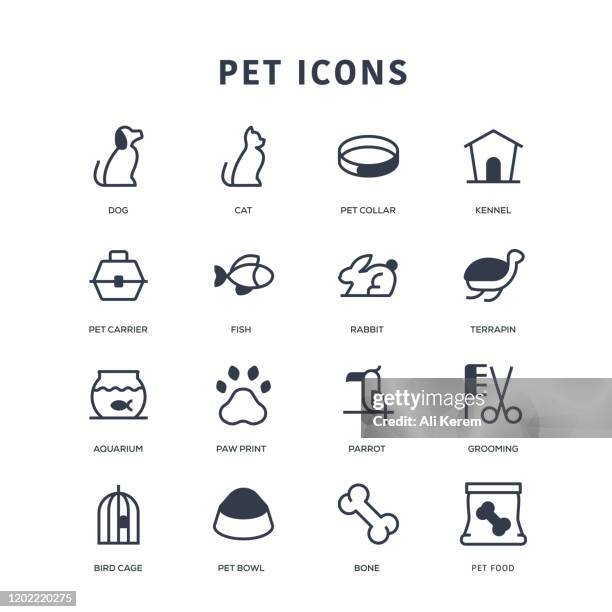 pet icons - grooming animal behavior stock illustrations