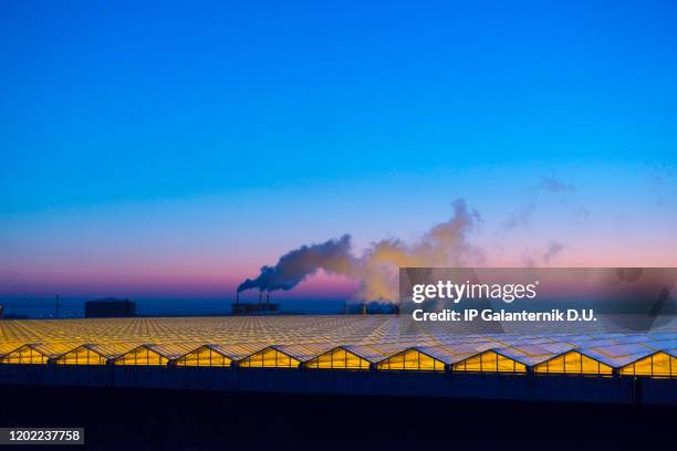 large commercial greenhouse glass rooftop - agriculture industry stock pictures, royalty-free photos & images