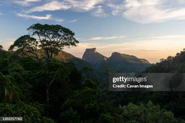 view to mountains and green jungle landscape from tijuca forest - tijuca stock-fotos und bilder