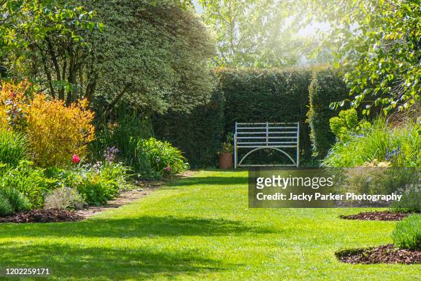 a rusty wrought iron white bench on the grass in a summer, sunny english garden - garden stock pictures, royalty-free photos & images