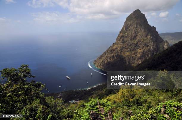the pitons of st lucia in the caribbean - saint lucia stock pictures, royalty-free photos & images