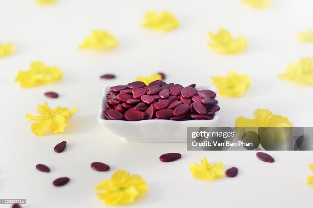 Melon seeds with Ochna integerrima blossoms