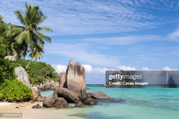 big stones on the beach with a lot of green plants - victoria seychelles fotografías e imágenes de stock