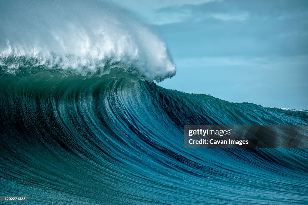 Large wave California