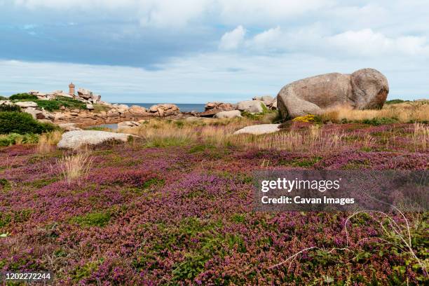 scenic view of the coast of perros guirec in brittany - ploumanach stockfoto's en -beelden