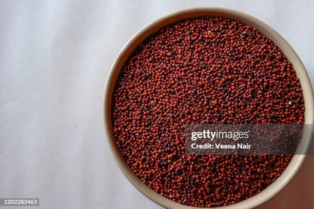 close-up of finger millet/eleusine coracana in a ceramic bowl against white background - millet stock pictures, royalty-free photos & images