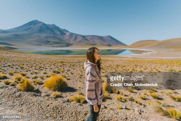 woman on the background of  scenic view of lake in atacama desert - atacama stock pictures, royalty-free photos & images