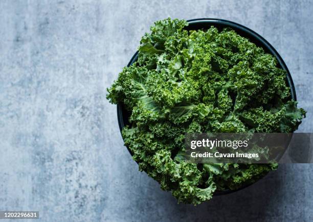 overhead view of a bowl of kale against a gray cement counter. - couve imagens e fotografias de stock
