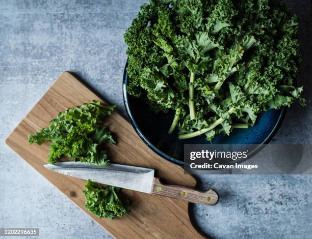 top view of bowl of kale, cutting board with knife and chopped kale. - couve imagens e fotografias de stock